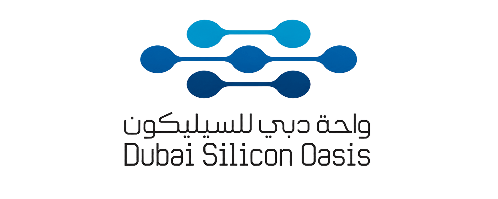DSO logo